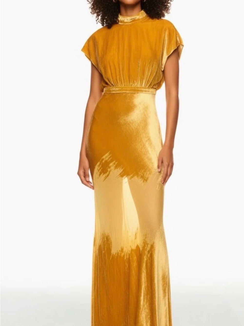 SALONI Fabienne Gold Silk Velvet Devoré Maxi Gown Dress US 10 UK 14